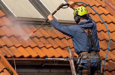 Démoussage et hydrofuge de toiture au Gué-de-Velluire